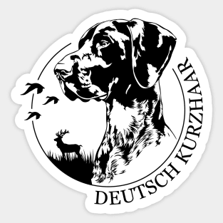 Deutsch Kurzhaar dog portrait Sticker